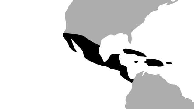central america