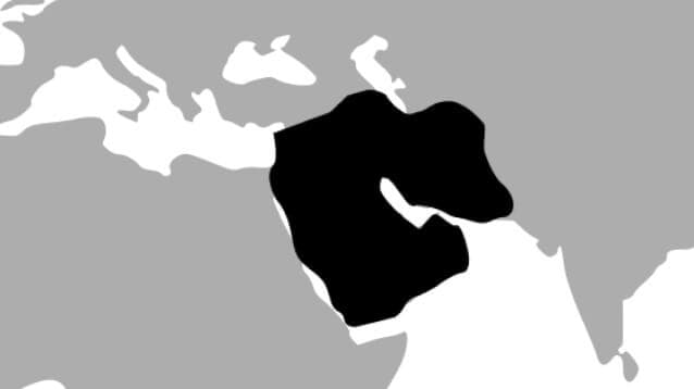 middle east